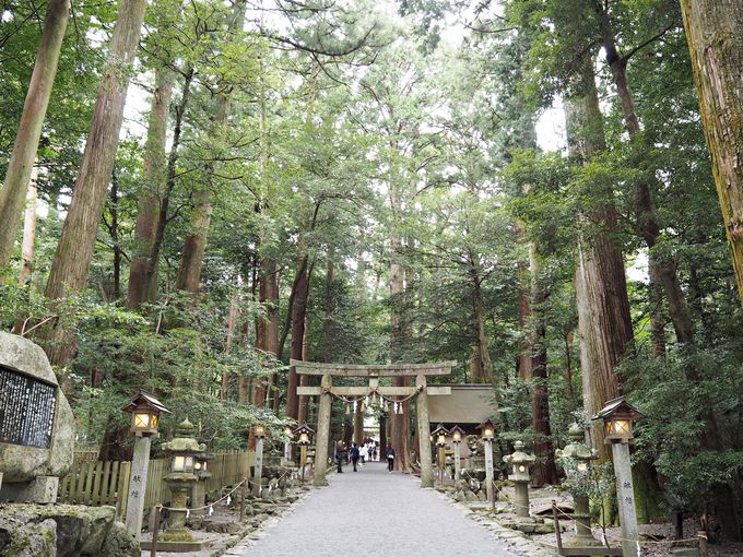 主婦による不動産投資イロハ ～鈴鹿・椿大神社～ | 【ピタットハウス本陣店／三井建物不動産サービス】売買・賃貸・建物管理をトータルでお任せ！